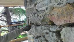 acastle
                          108835.jpg
